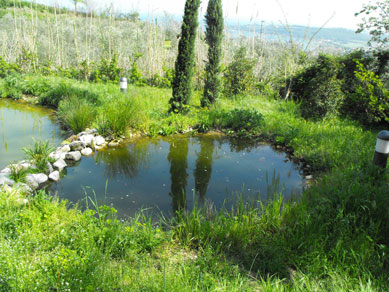 realizzazioni giardini naturali1